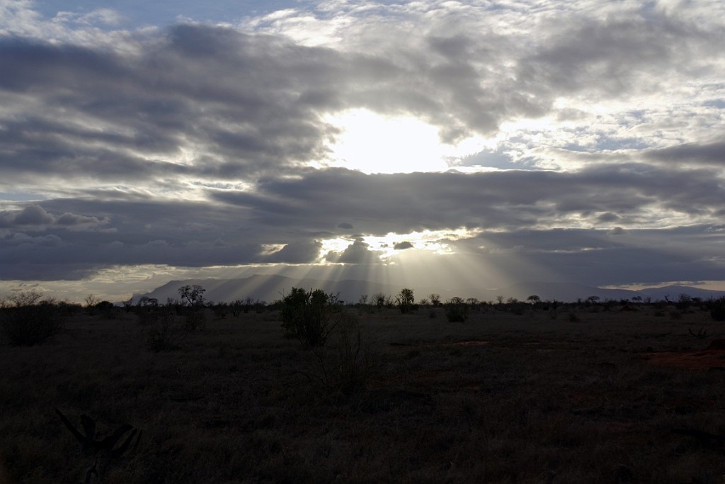 Kenia (306).jpg